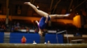 Michigan State Illinois Gymnastics